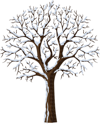 Snow Tree - Les Saisons L Hiver (324x400), Png Download