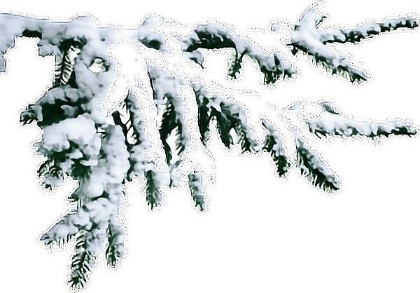 Report Abuse - Saint Petersburg (600x418), Png Download