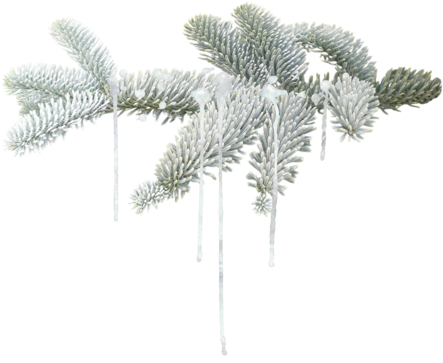 Christmastrees Snow Tree Christmas Christmasdecoration - Winter (500x449), Png Download