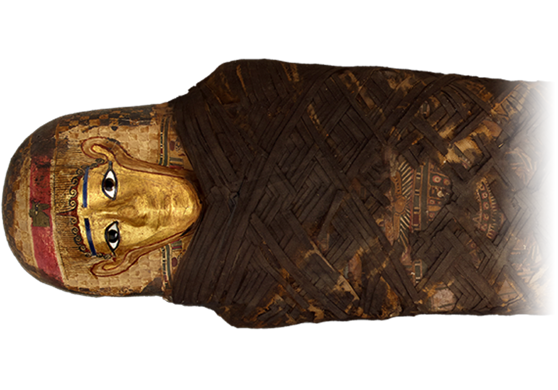 No Alt Exists For This Image - Field Museum Of Natural History (2000x1333), Png Download