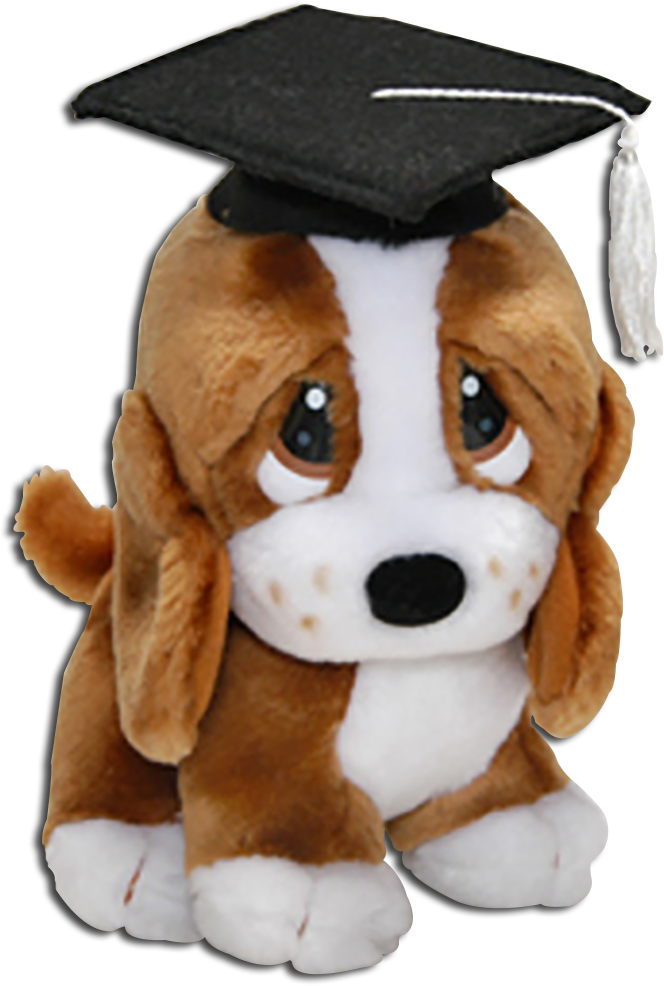 Graduation Basset Hounds - Sad Sam Plush Toy (689x1000), Png Download