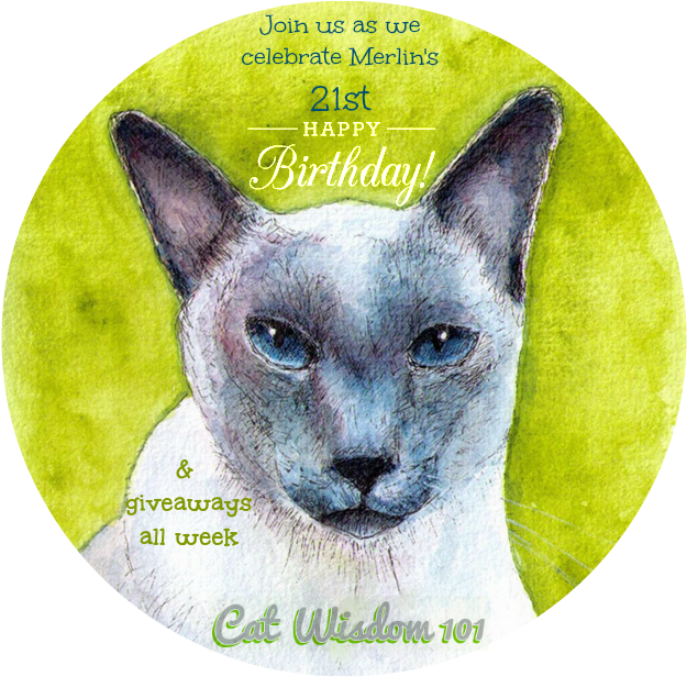 Merlin Cat 21st Birthday - Cat (626x626), Png Download