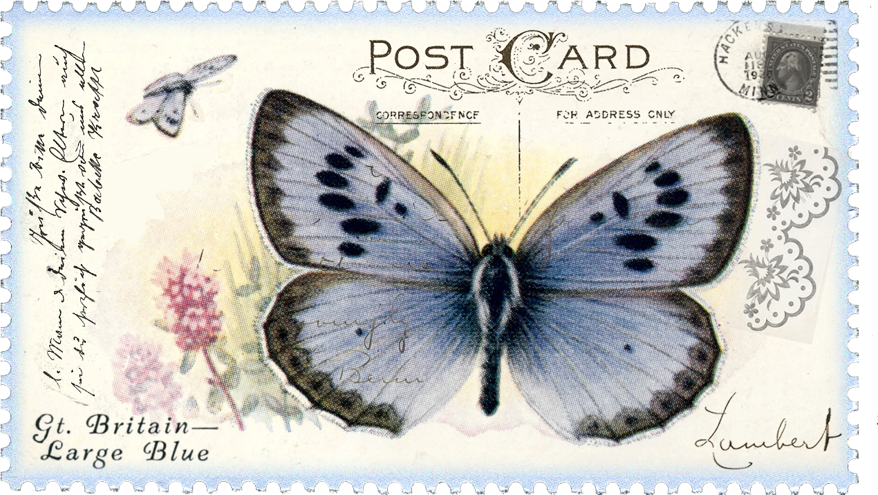 Go To Image - Vintage Postage Stamp Png (1302x754), Png Download