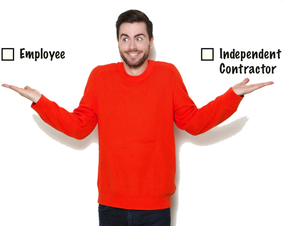 Employee Or Contractor - Fusion Cpa (600x473), Png Download