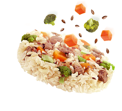Comida Cozida E Congelada Para Cães - Comida Congelada Para Cães (407x403), Png Download