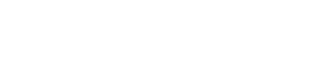 Parkour Holden Logo White (1000x230), Png Download