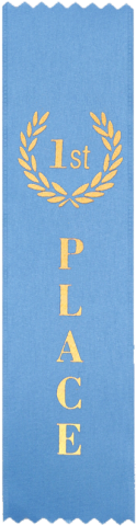 1st Place Blue Ribbons - 25 Pack (500x500), Png Download