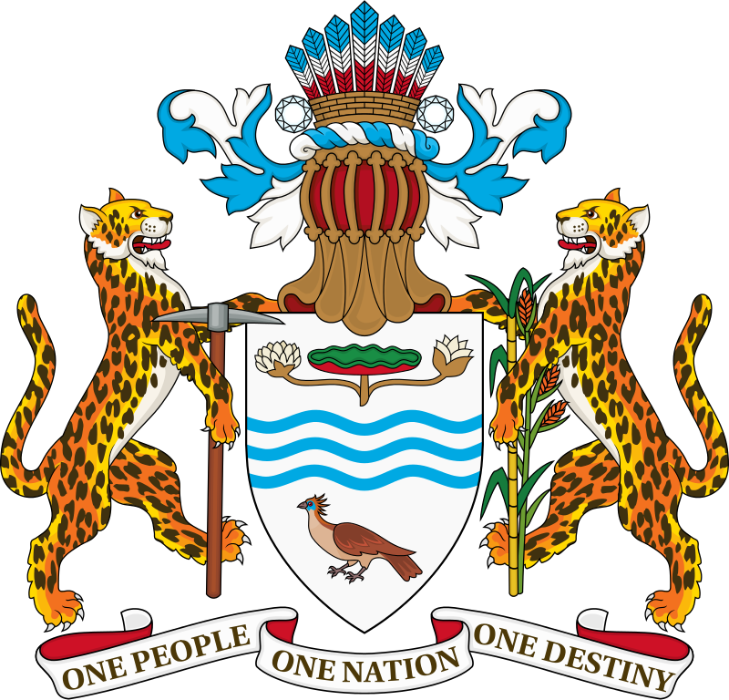 The Coat Of Arms Of The Co - Coat Of Arm Of Guyana (800x768), Png Download