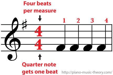 4/4 Time Signature Four Beats Per Measure And A Quarter - Whole Note In Measure (430x285), Png Download