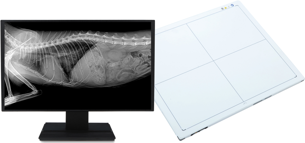 Mano Dr Imaging - Digital Radiography (1118x745), Png Download