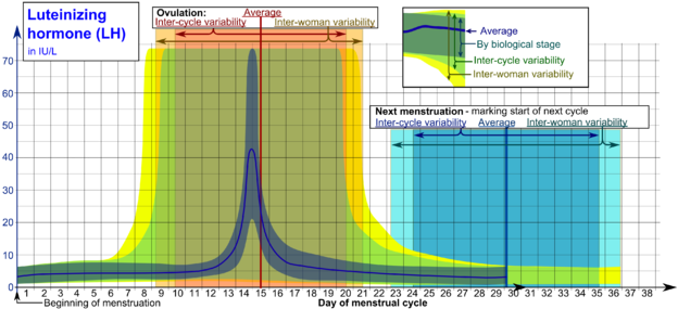 320 × 143 Píxeles - Luteinizing Hormone (640x285), Png Download