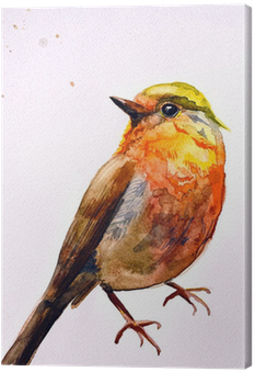 Watercolor Drawing Of Cute Bird Canvas Print • Pixers® - Water Colour Painting Bird Fly (400x400), Png Download