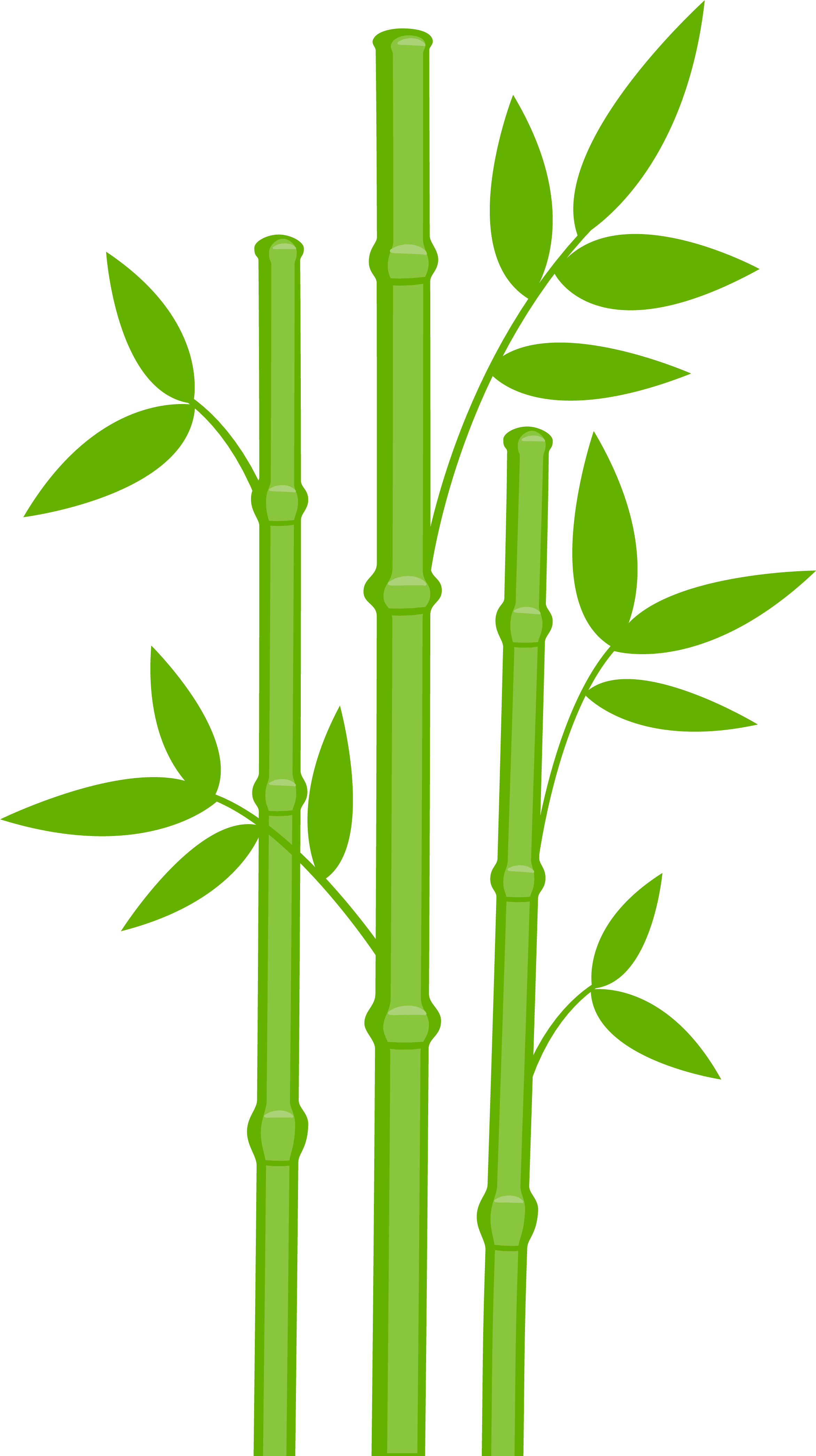 Panda Bear - Bamboo Clipart (2343x4196), Png Download