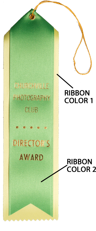 29 2 5 X 10 Pointed Top Custom Award Ribbonribbonsrb29 - Label (800x800), Png Download