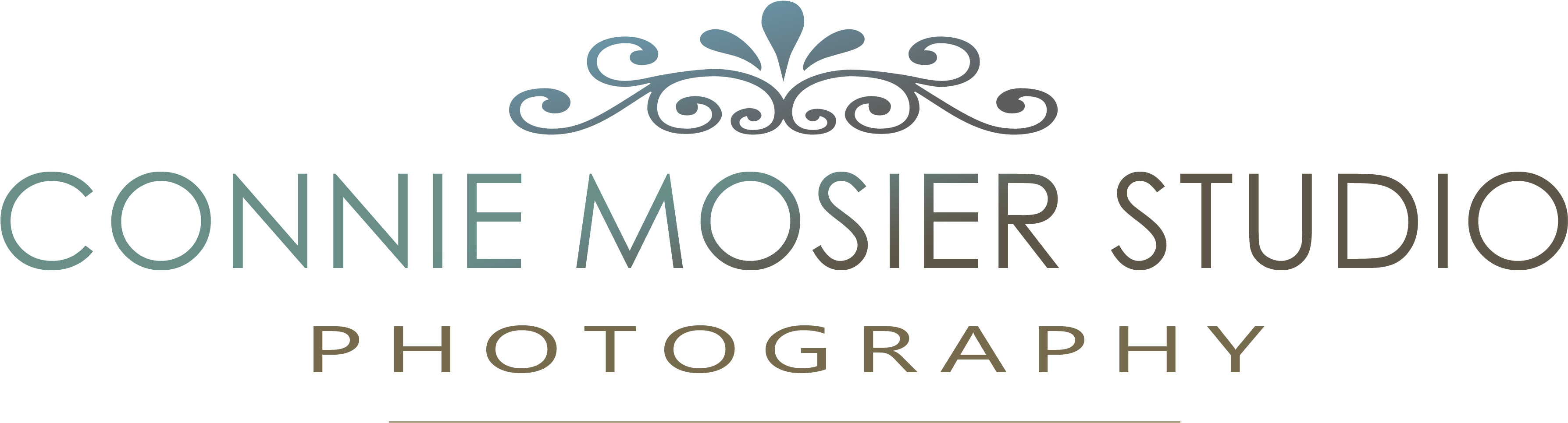 Connie Mosier Studio - Png Hair Salon Logos (3900x1129), Png Download