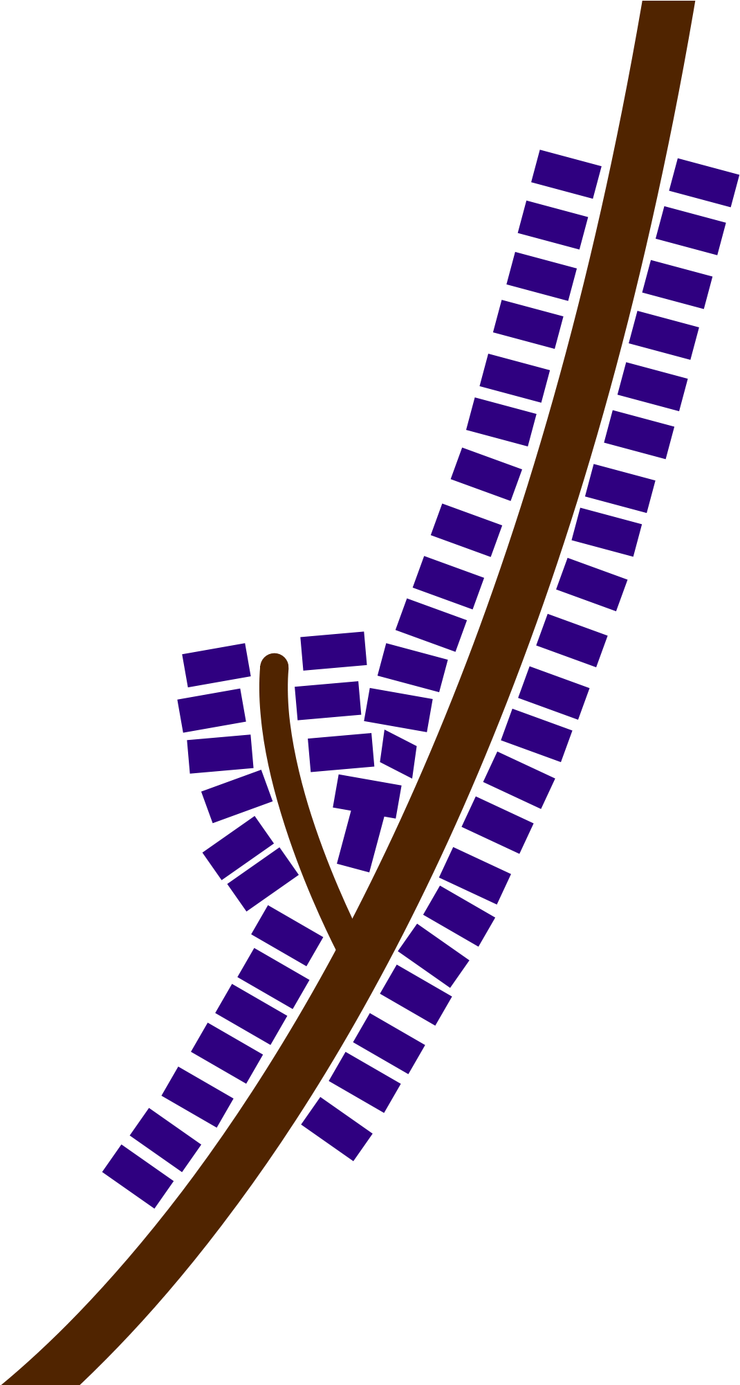 Ribbon Development Concept (1200x2000), Png Download