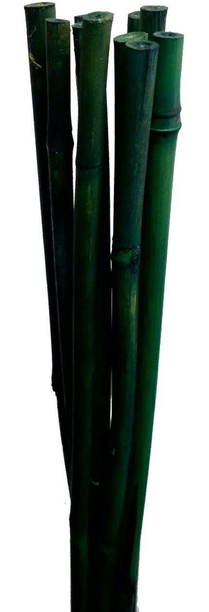 Bamboo Sticks X - Umbrella (1000x1333), Png Download