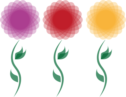 Chrysanthemum Flower Blossom Bloom Floral - Flower (441x340), Png Download