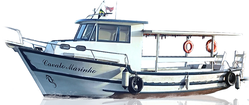 Barco Png - Embarcação Cavalo Marinho 1 (811x350), Png Download