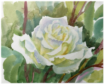 Watercolor Flower Collection - Fleurs Blanches Aquarelles Fleurs (400x400), Png Download