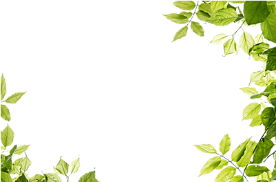 Leaves Frame Png - Green Leaves Frame Png (400x400), Png Download