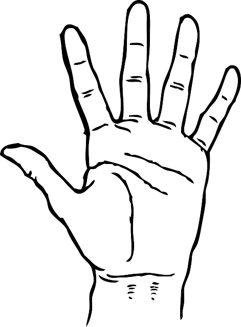 Black, Icon, Left, Right, Outline, Hand, Drawing, Open - Hand Clipart Black And White (471x640), Png Download
