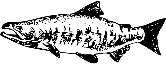 Black, Food, White, Cartoon, Fish, Salmon, Animal - Sockeye Salmon Clipart (640x320), Png Download