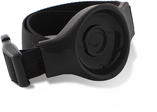 Gps Collar, Black Gps Collar, Dog Tracker, Gps Smart - Dog Collar (649x638), Png Download