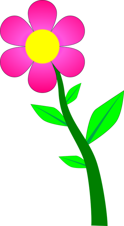 Related Wallpapers - Cute Flower Icon (394x720), Png Download