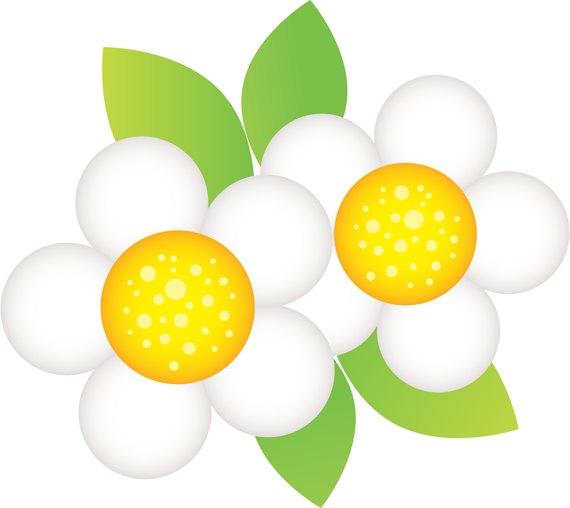 Passarinhos 2 - Minus - Flor Da Chapeuzinho Vermelho Png (900x803), Png Download