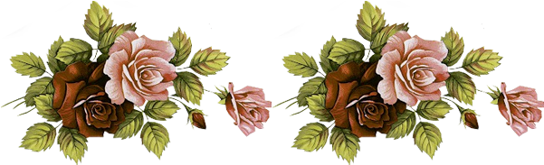 Https - //nomesjoana - Files - Wordpress - - - Gif De Bendecido Miércoles (602x208), Png Download