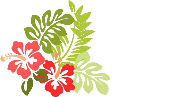 Flores Clip Art - Hibiscus Clip Art (600x314), Png Download