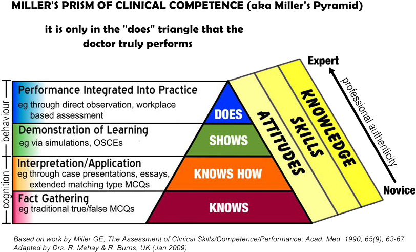 The Miller Prism - Miller's Prism Of Competence (855x522), Png Download