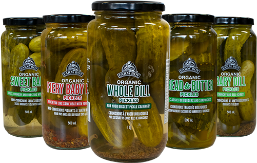 Farm Boy Organic Pickles - Pickling (500x500), Png Download