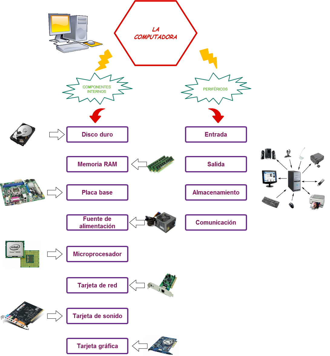 Untitled La Computadora Componentes Internos Periféricos - Assistenza Pc (1090x1173), Png Download