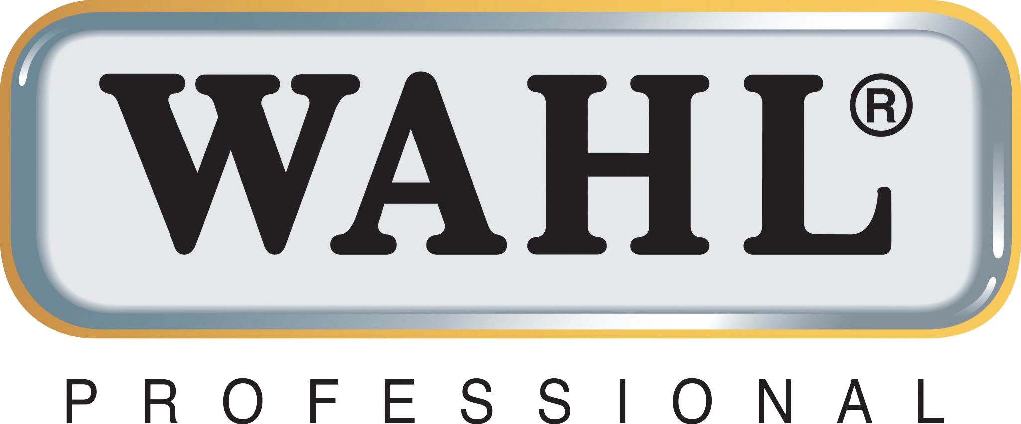 Since 1919, With The Invention Of The First Practical - Wahl Logo Png (2048x851), Png Download