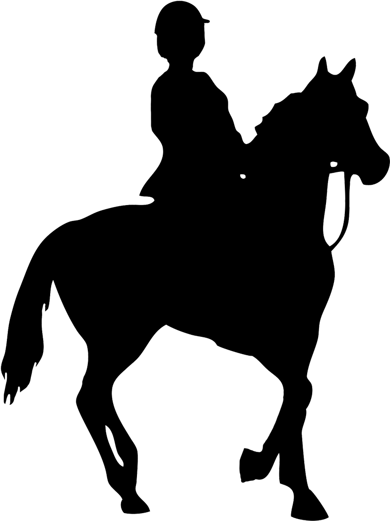 Silhouette Of Foal - Horse And Rider Silhouette Png (843x1063), Png Download