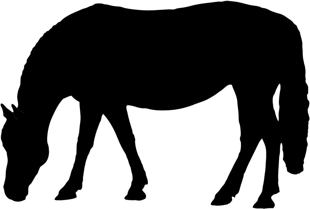 Horse Silhouette Black Grazing Clip Art - Horse (1063x727), Png Download