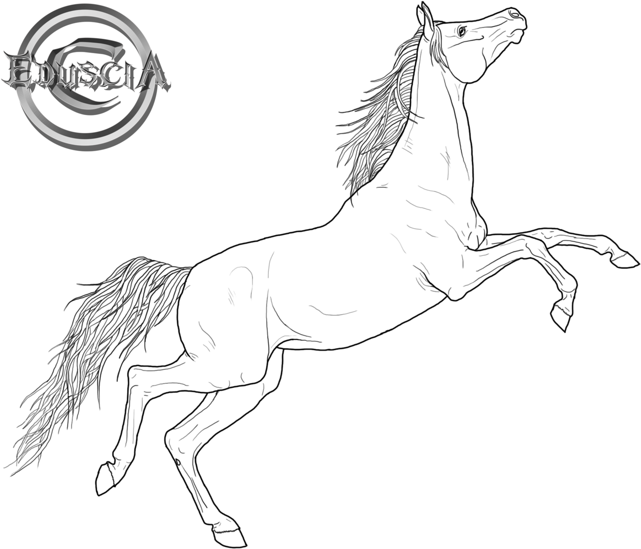 Friesian Horse - Arabian Horse Line Art (1280x1112), Png Download
