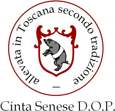 Cinta Senese (500x490), Png Download