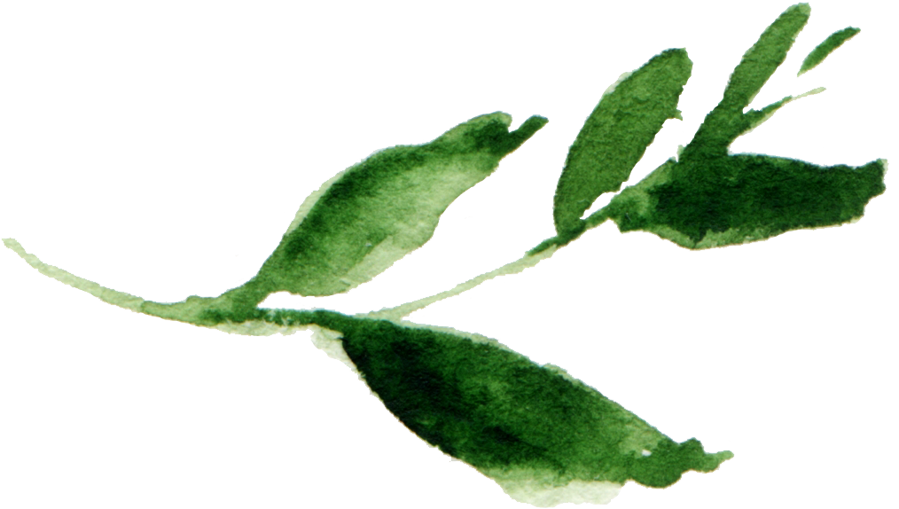 Alpendre Familyfall Session - Photography (1036x597), Png Download