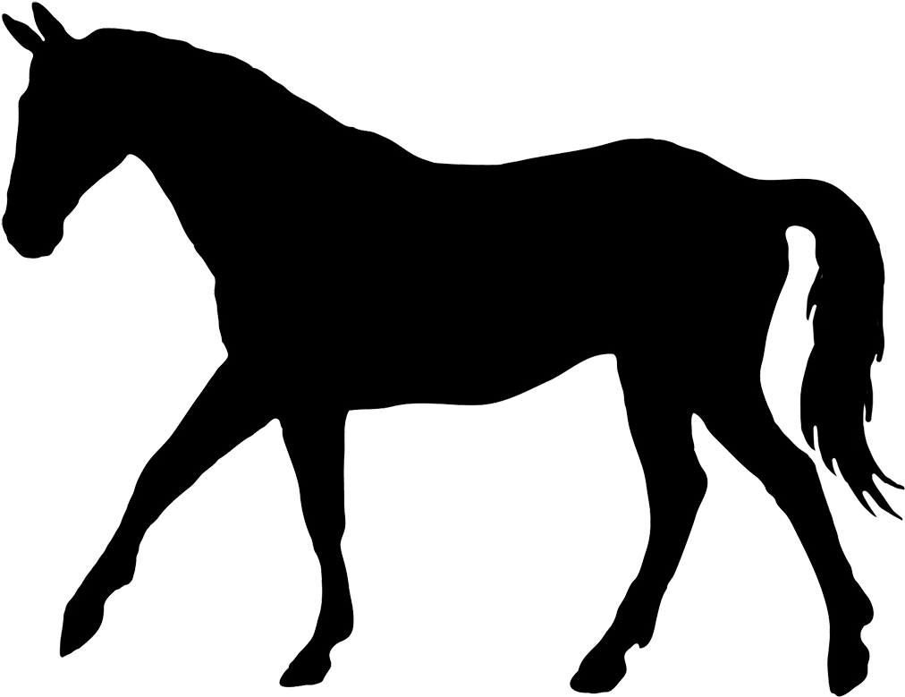 1000 Ideas About Horse Silhouette On Pinterest - Horse Clipart Transparent Background (1063x844), Png Download