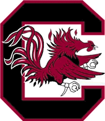 South Carolina's National Footb, Signing Day Recruits - South Carolina's Football Team (955x500), Png Download