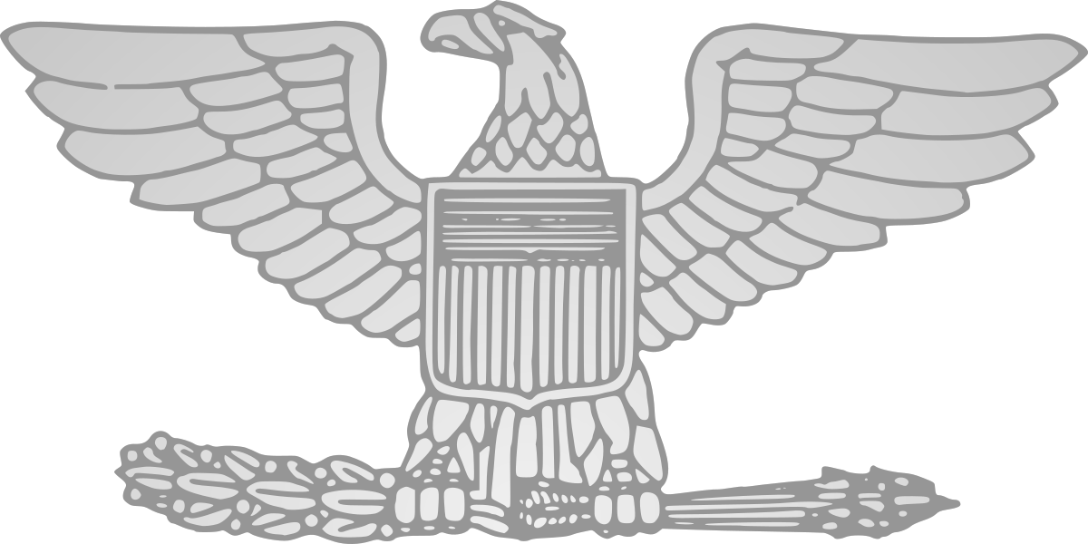 United States Wikipedia Army Colonel Rank (1200x600), Png Download