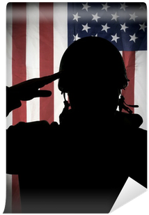 American Soldier Saluting To Usa Flag Wall Mural • - National Hire A Veteran Day (400x400), Png Download