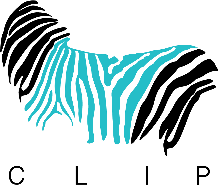 Clip Logo By Morina Lierience - Zebra Print Wall Sticker - Grey (2598x2598), Png Download
