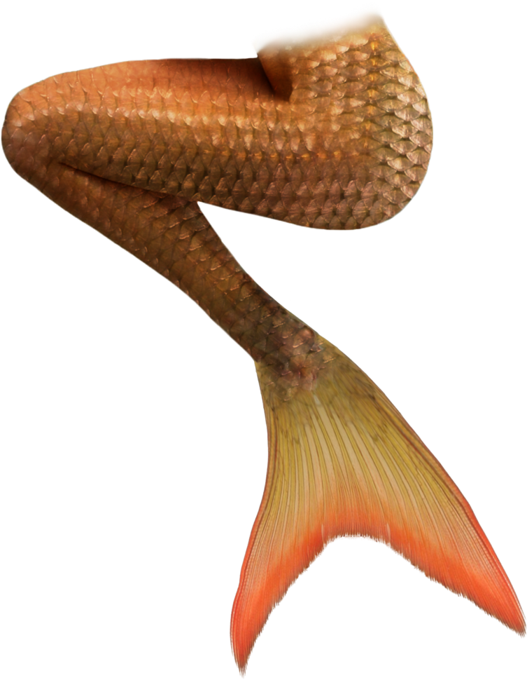 Share This Article - Cola De Sirena Png (900x1131), Png Download