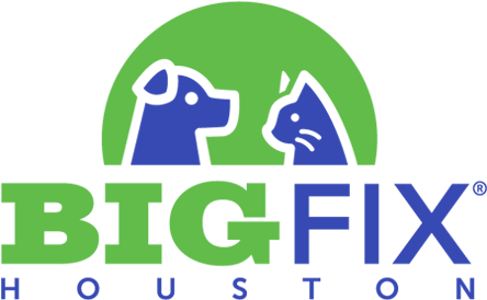 Unity For A Solution Is A Dba Of Barrio Dogs, Inc - Big Fix Houston (450x318), Png Download