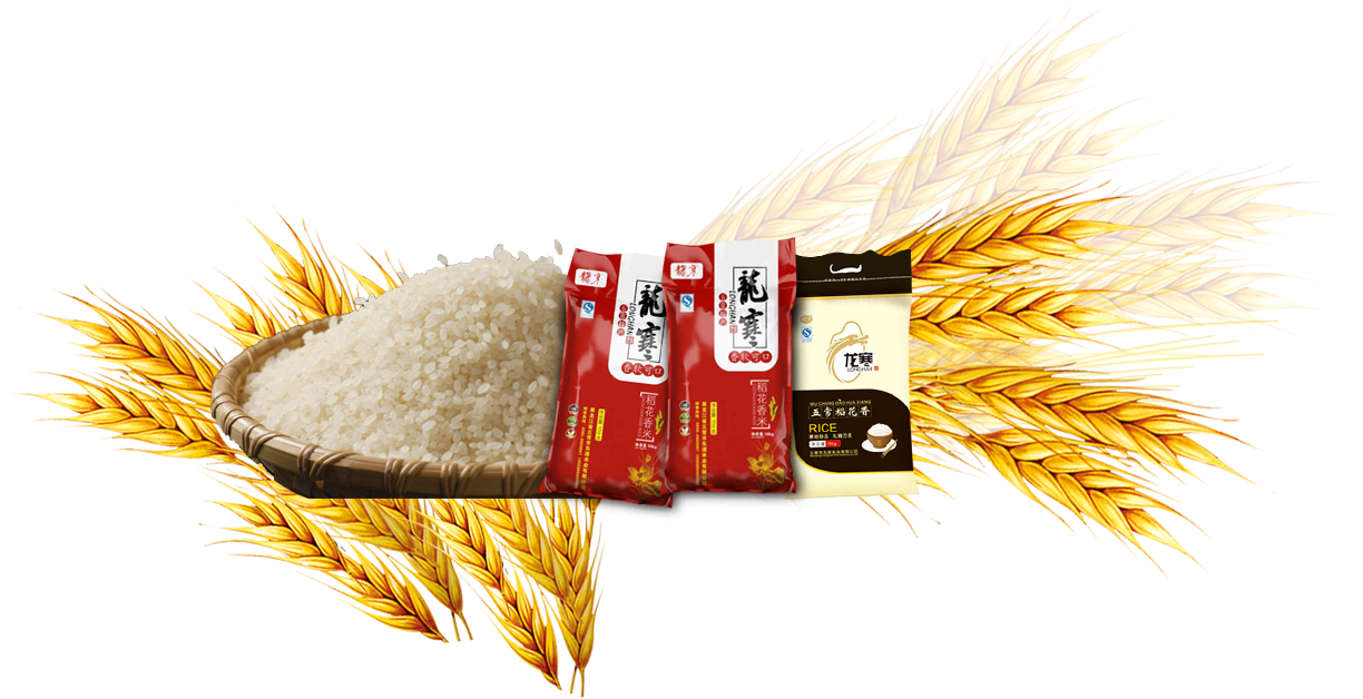 Rice Gadu Common Wheat Barley - Rice (1255x692), Png Download