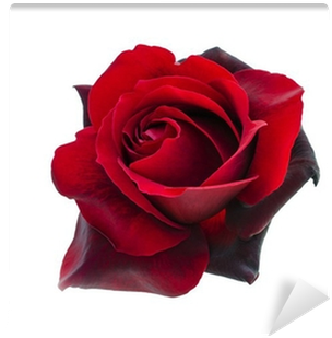 Stock Photography (400x400), Png Download